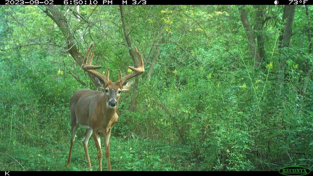 Photo of 00 Wheat Hollow ROAD, Cazenovia, WI 53924 (MLS # 2016287)