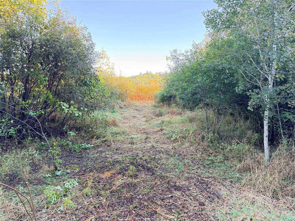 Photo of 0 15th AVENUE, Chippewa Falls, WI 54729 (MLS # 1605583)
