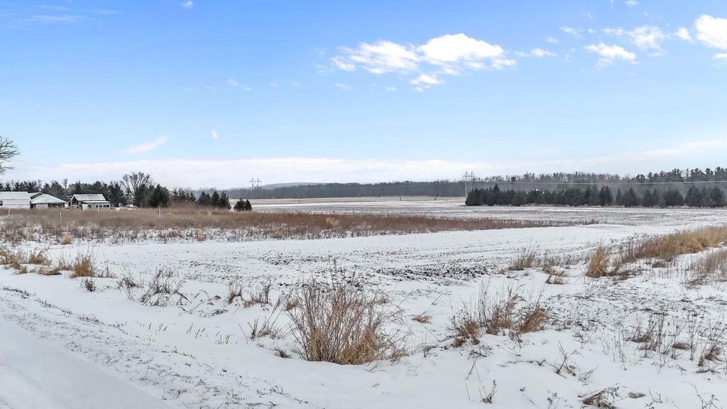 Photo of E7434 Doud ROAD, Manawa, WI 54949 (MLS # 50321150)