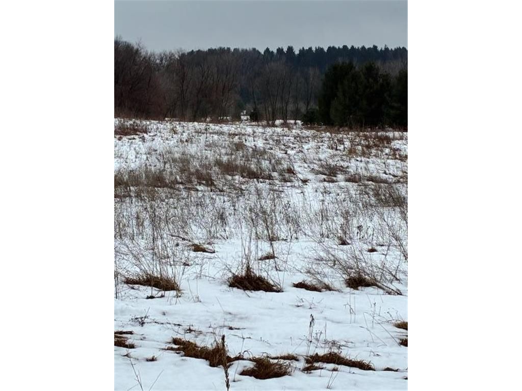 Photo of 647 210th AVENUE, Somerset, WI 54025 (MLS # 7002667)