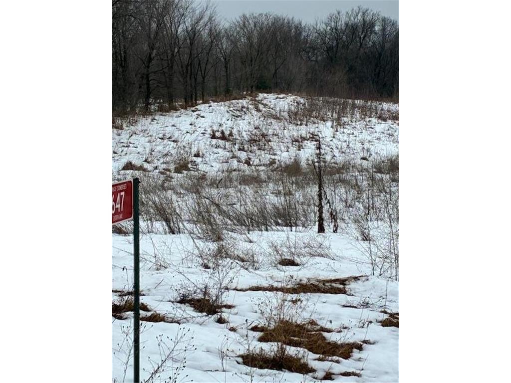 Photo of 647 210th AVENUE, Somerset, WI 54025 (MLS # 7002667)