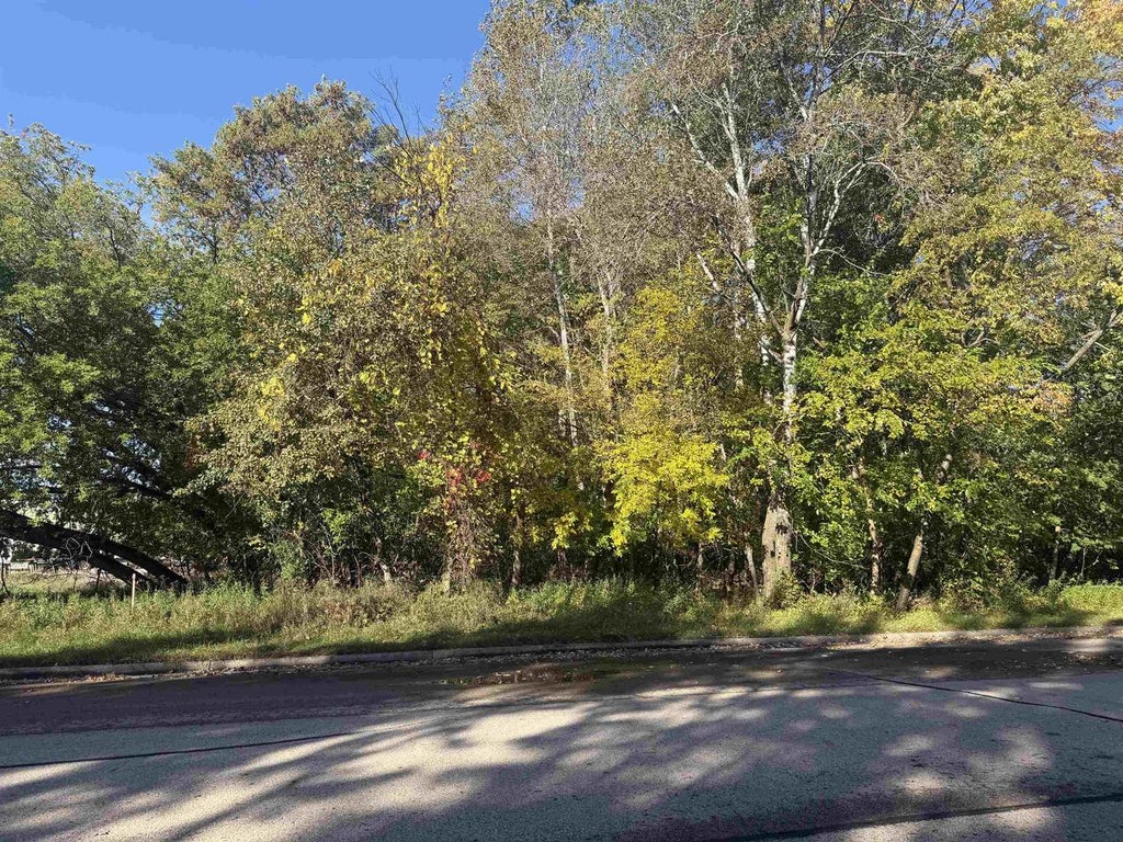 Photo of Brown STREET, Peshtigo, WI 54157 (MLS # 50333855)