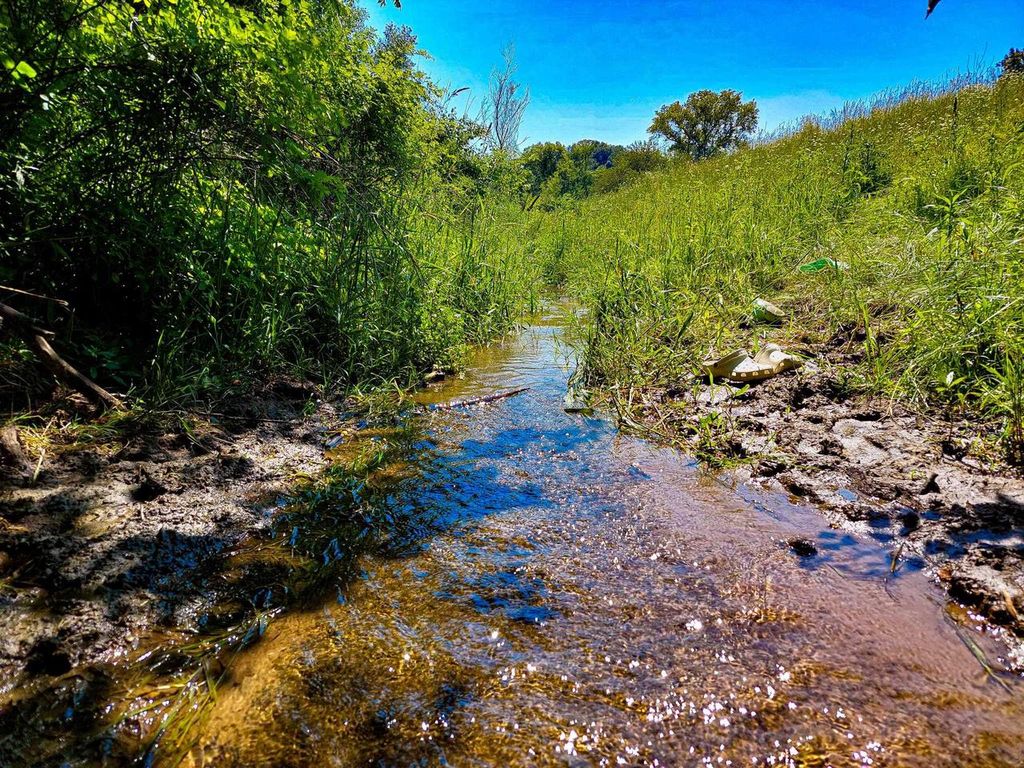 Photo of 59 +/- Ac State Hwy 80, Richland Center, WI 53581 (MLS # 2021140)