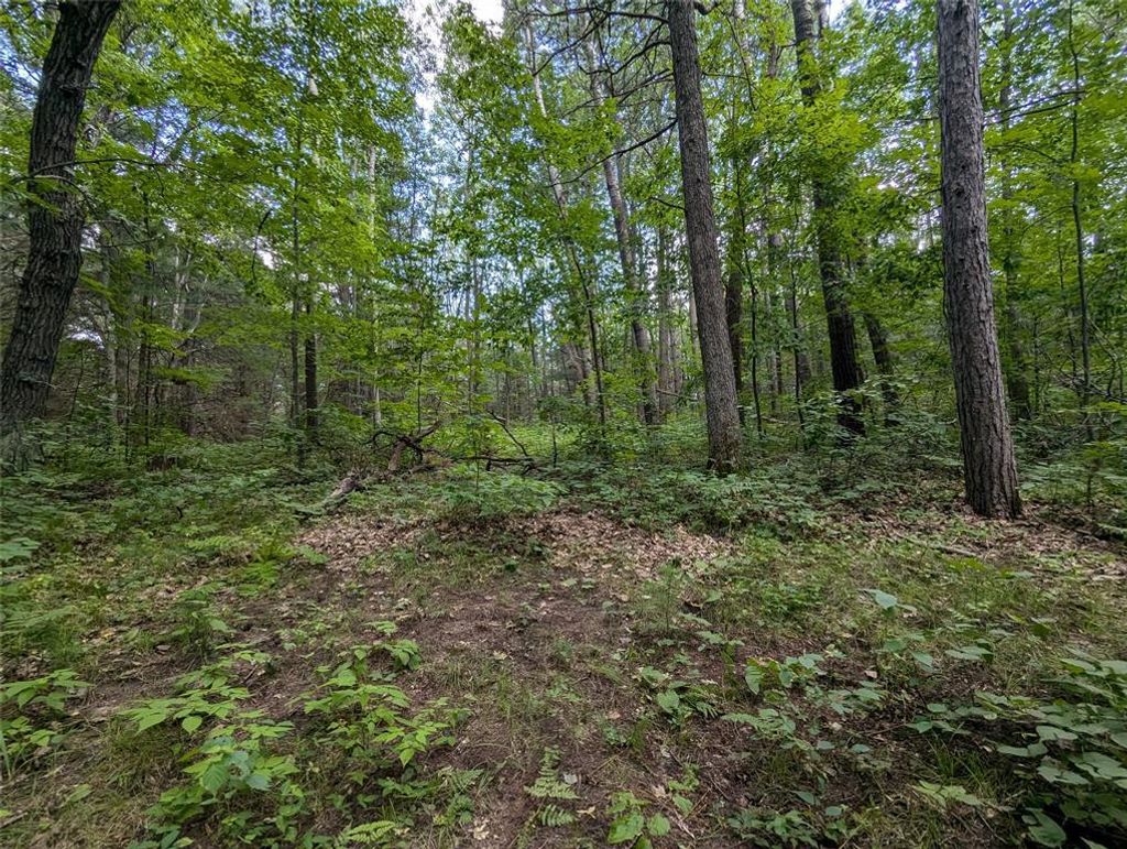 Photo of Lot 3 Fosmo, Webster, WI 54893 (MLS # 1599371)