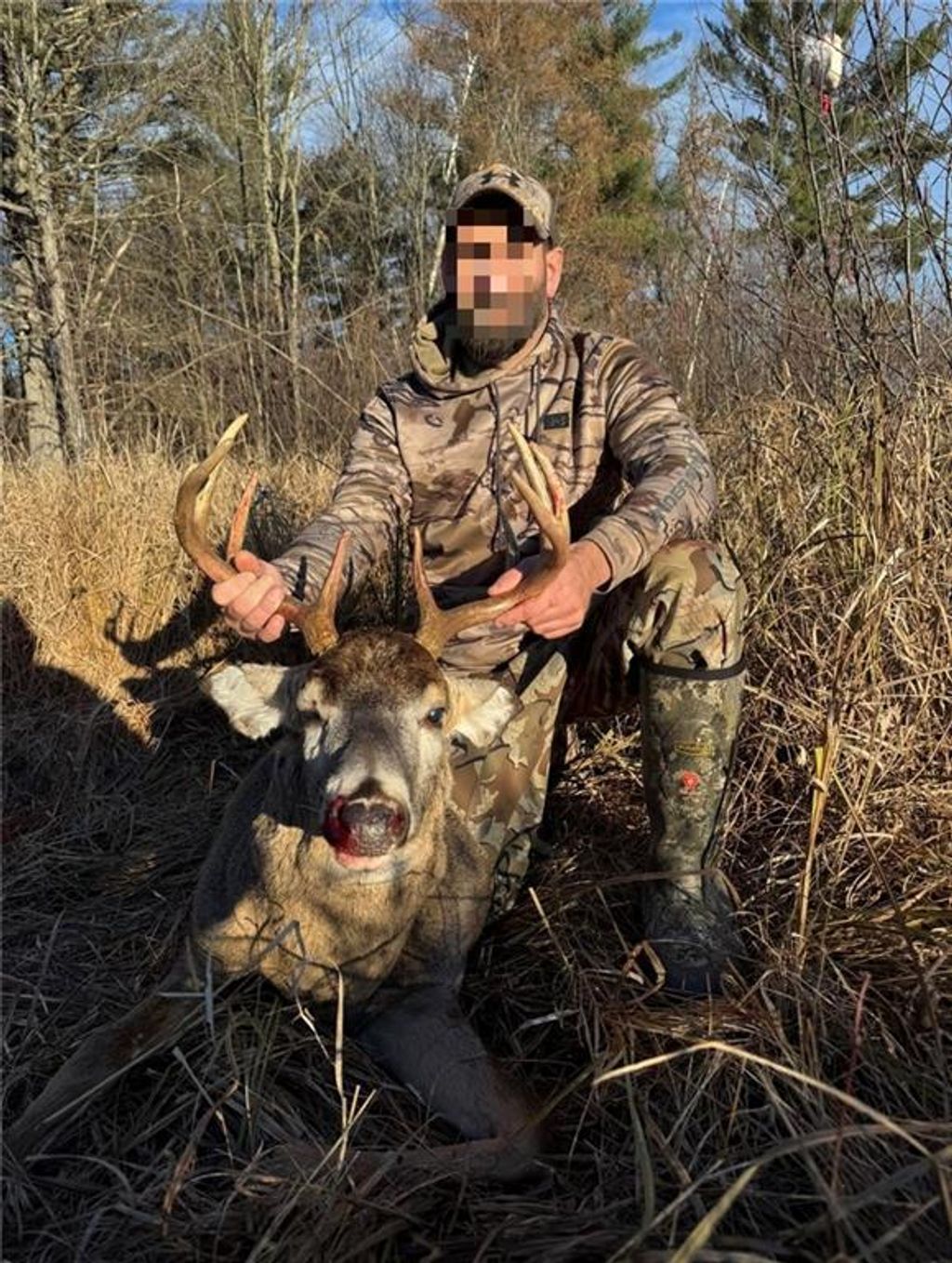 Photo of N850 Hamilton Falls ROAD, Stanley, WI 54768 (MLS # 1597065)