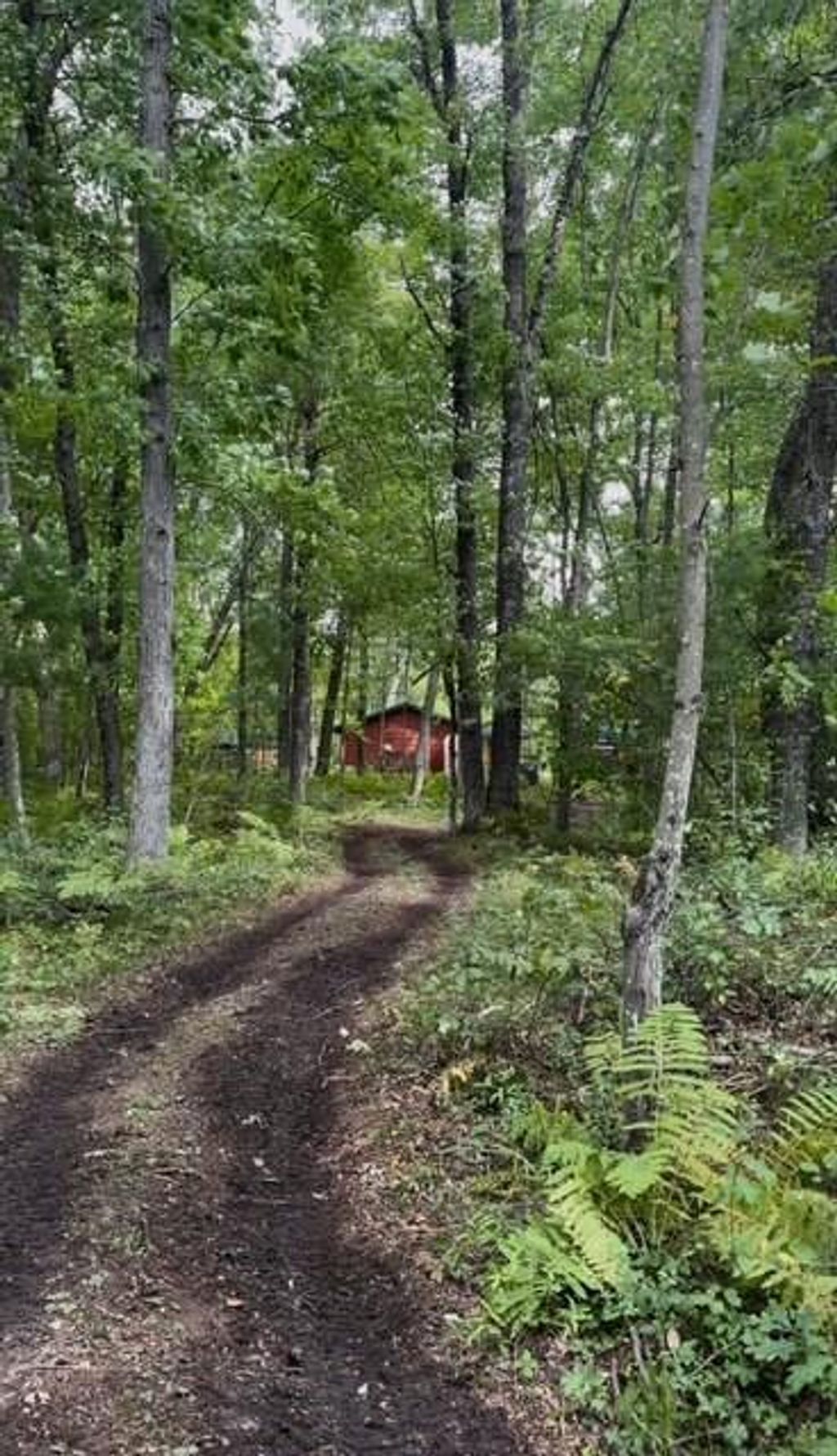 Photo of N850 Hamilton Falls ROAD, Stanley, WI 54768 (MLS # 1597065)