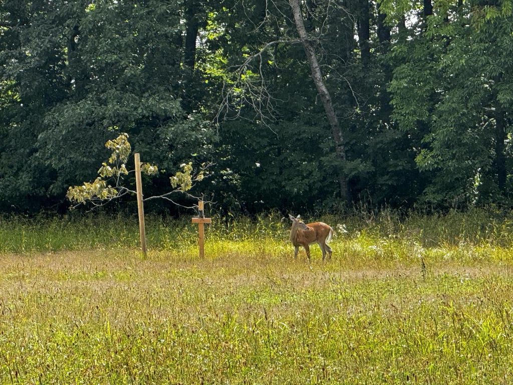Photo of N2179 Schalk ROAD, Ogema, WI 54459 (MLS # 1938712)