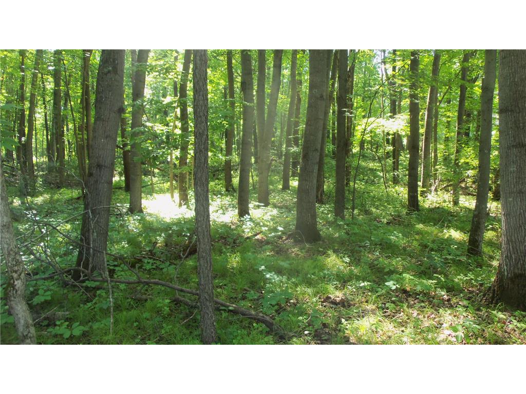 Photo of Lot 5 Howard Johnson Rd, Siren, WI 54872 (MLS # 7116262)