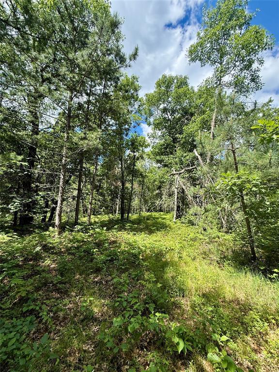 Photo of 0 St Croix Trail, Minong, WI 54859 (MLS # 1602480)