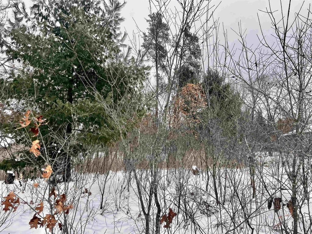 Photo of 456 Tomahawk TRAIL, Nekoosa, WI 54457 (MLS # 2013481)