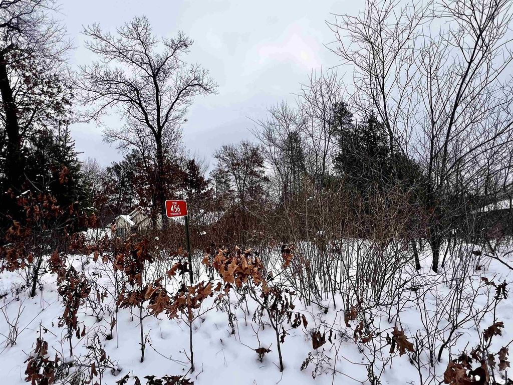 Photo of 456 Tomahawk TRAIL, Nekoosa, WI 54457 (MLS # 2013481)