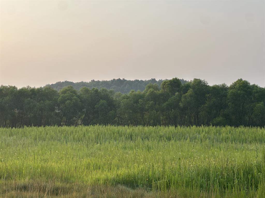 Photo of Lot 4 28th AVENUE, Elk Mound, WI 54739 (MLS # 1603642)