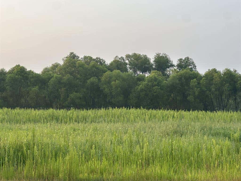 Photo of Lot 4 28th AVENUE, Elk Mound, WI 54739 (MLS # 1603642)