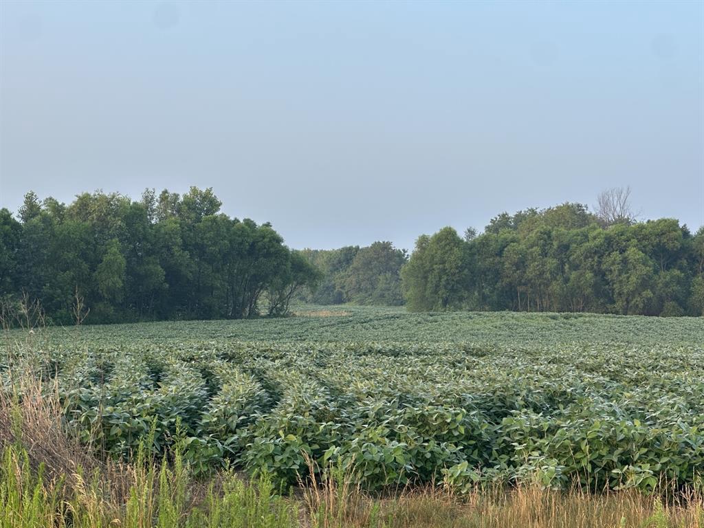 Photo of Lot 4 28th AVENUE, Elk Mound, WI 54739 (MLS # 1603642)