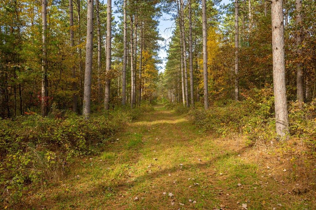 Photo of 0 Prairie ROAD, Osseo, WI 54758 (MLS # 1605860)