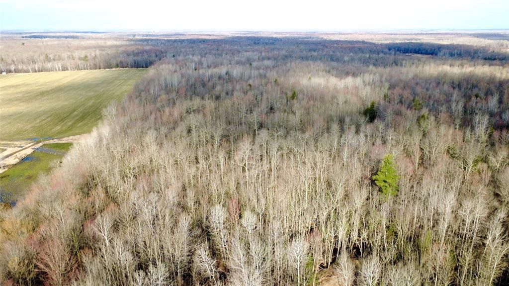 Photo of N2615 State Highway 73, Sheldon, WI 54766 (MLS # 1600106)