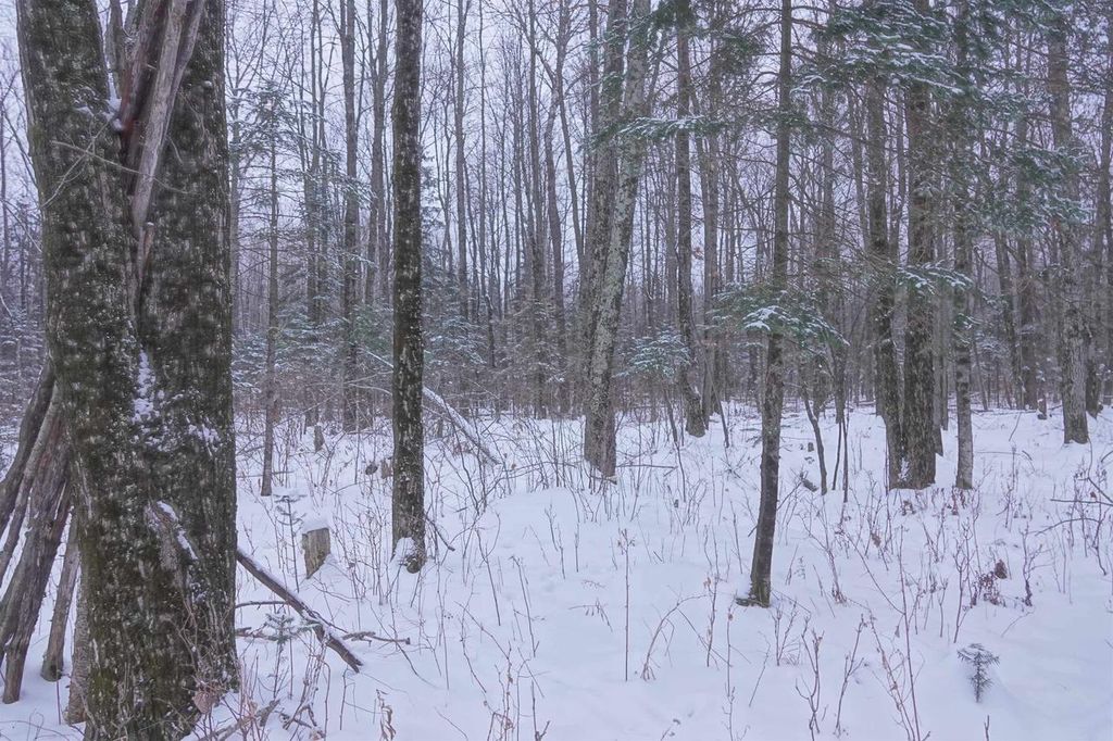 Photo of 000 Hetland AVENUE, Rib Lake, WI 54470 (MLS # 22505683)