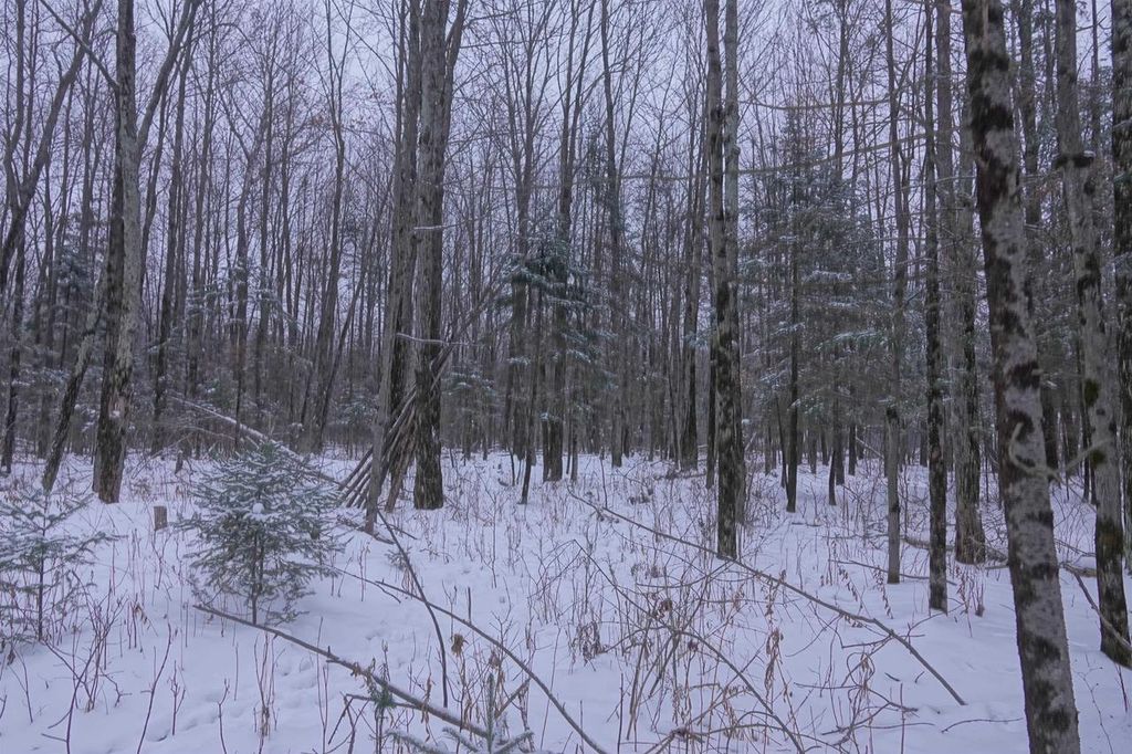 Photo of 000 Hetland AVENUE, Rib Lake, WI 54470 (MLS # 22505683)