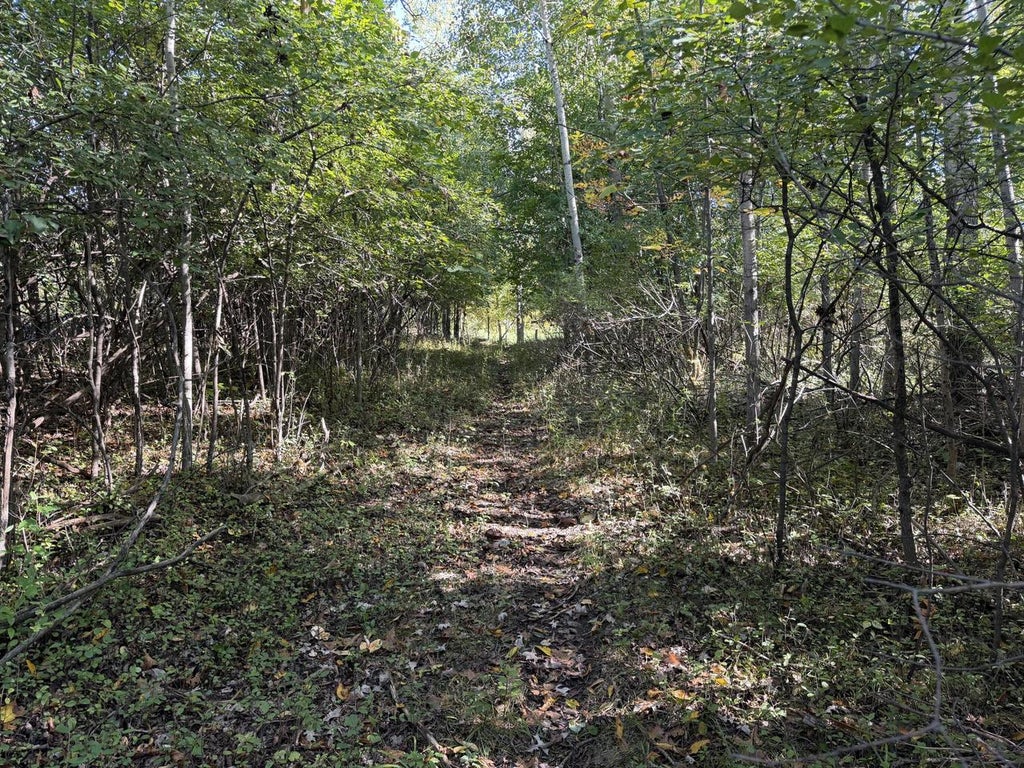 Photo of LT0 Paulina PLACE, Elkhart Lake, WI 53020 (MLS # 1983468)