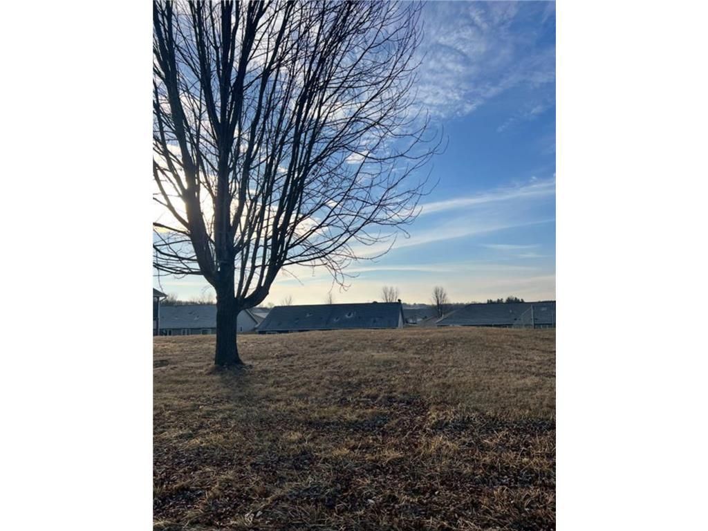 Photo of 288 Birch STREET, Baldwin, WI 54002 (MLS # 7043983)