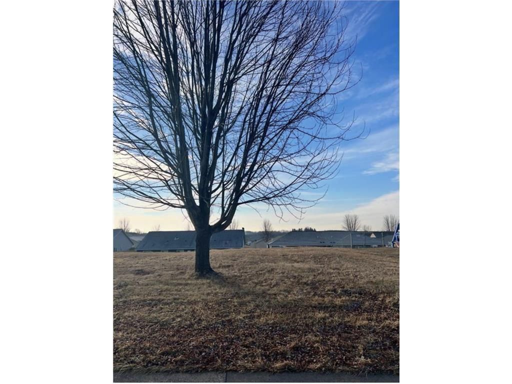 Photo of 288 Birch STREET, Baldwin, WI 54002 (MLS # 7043983)