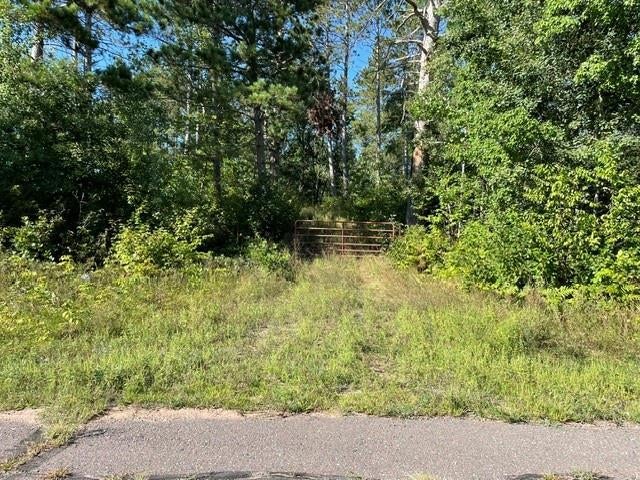 Photo of 0 Mack Lake ROAD, Trego, WI 54888 (MLS # 1604809)
