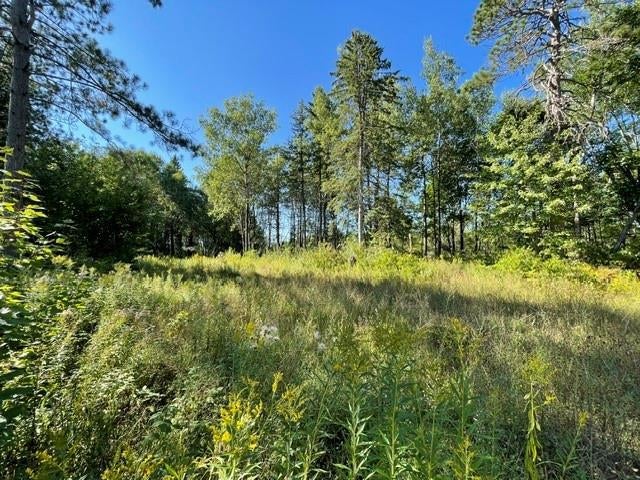 Photo of 0 Mack Lake ROAD, Trego, WI 54888 (MLS # 1604809)