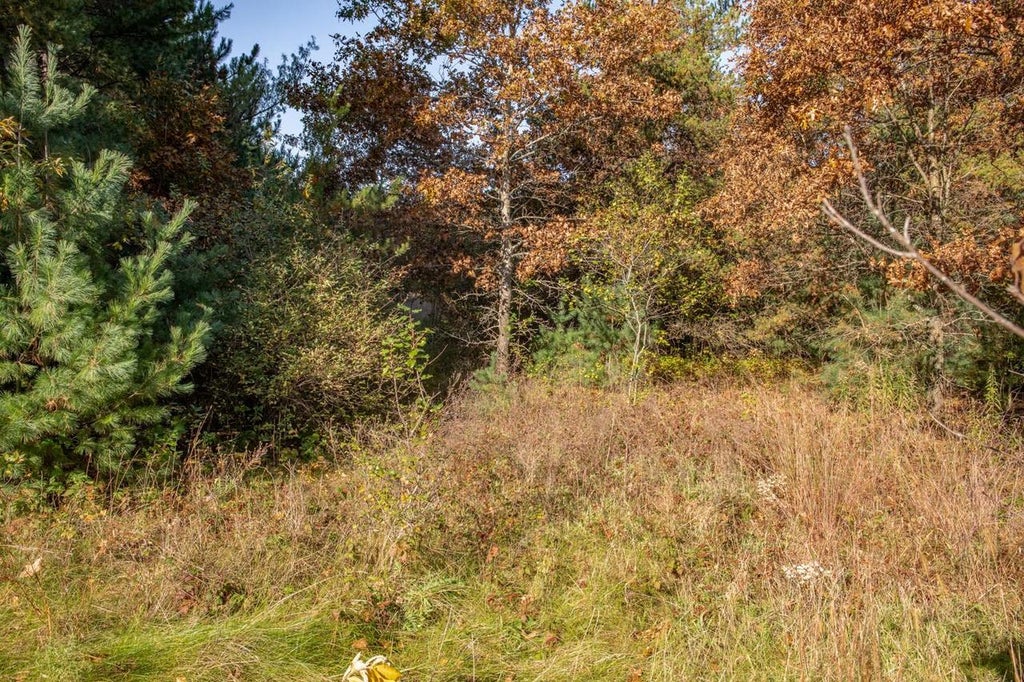 Photo of Aniwa LANE, Plainfield, WI 54966 (MLS # 50334248)