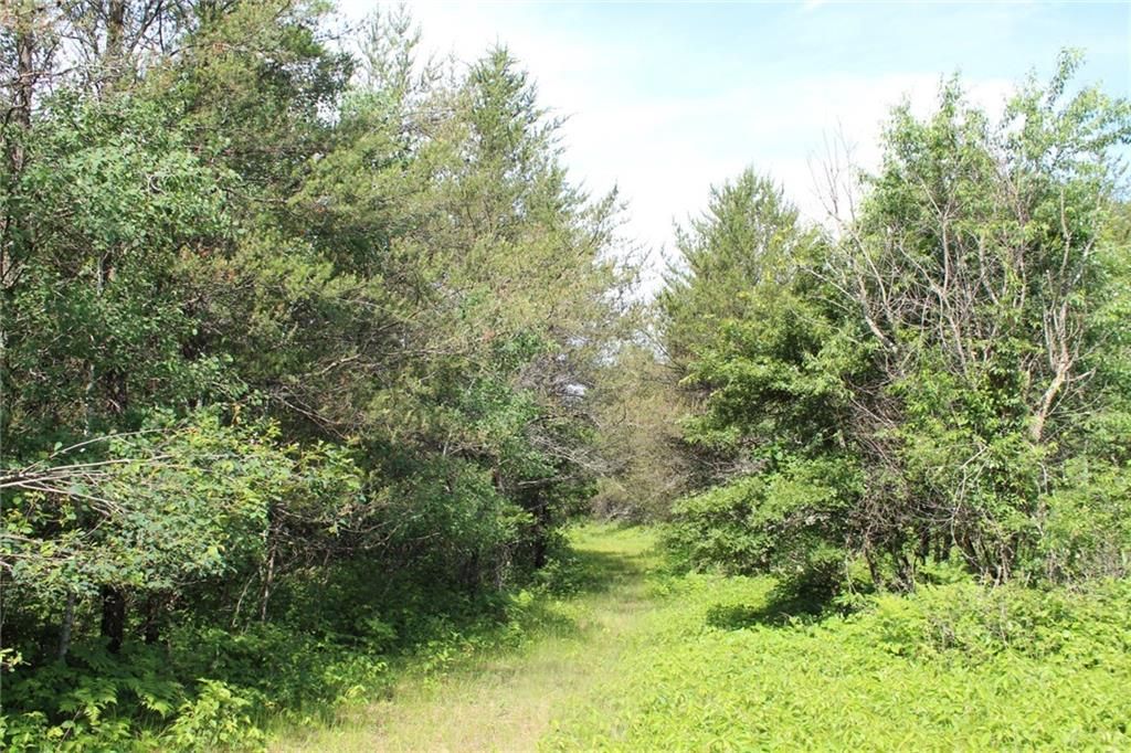 Photo of XXX Anderson ROAD, Grantsburg, WI 54840 (MLS # 1597652)
