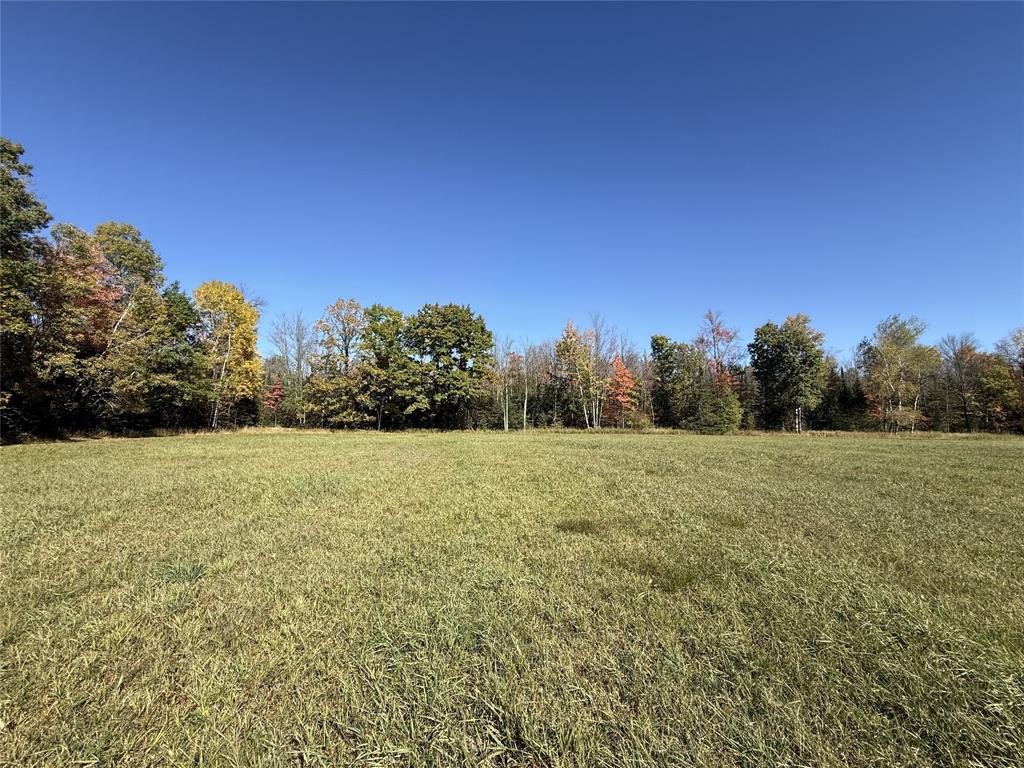 Photo of W8794 Moonshine Alley Lot 1 ALY, Catawba, WI 54515 (MLS # 1605711)