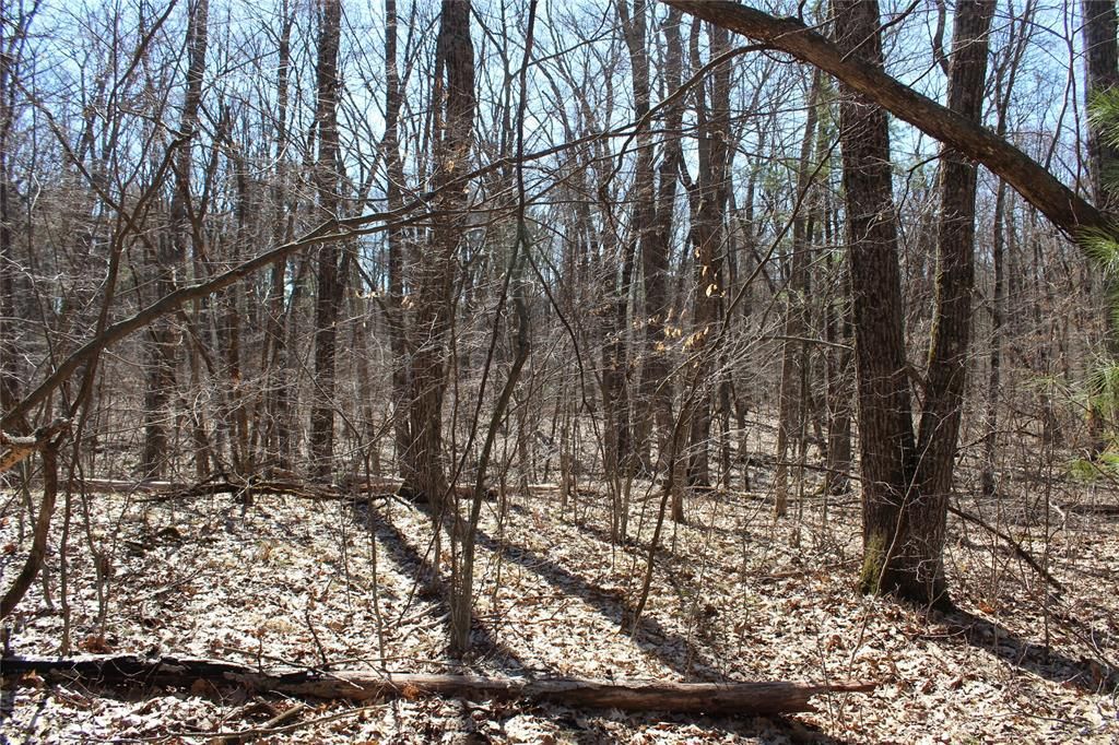 Photo of 00 Resewood Ave. - Lot 4, Neillsville, WI 54456 (MLS # 1599883)