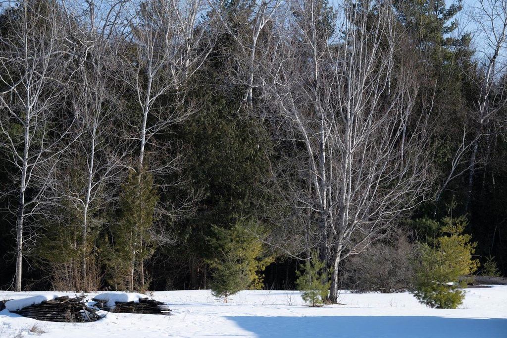 Photo of County Rd F, Fish Creek, WI 54212 (MLS # 50322899)