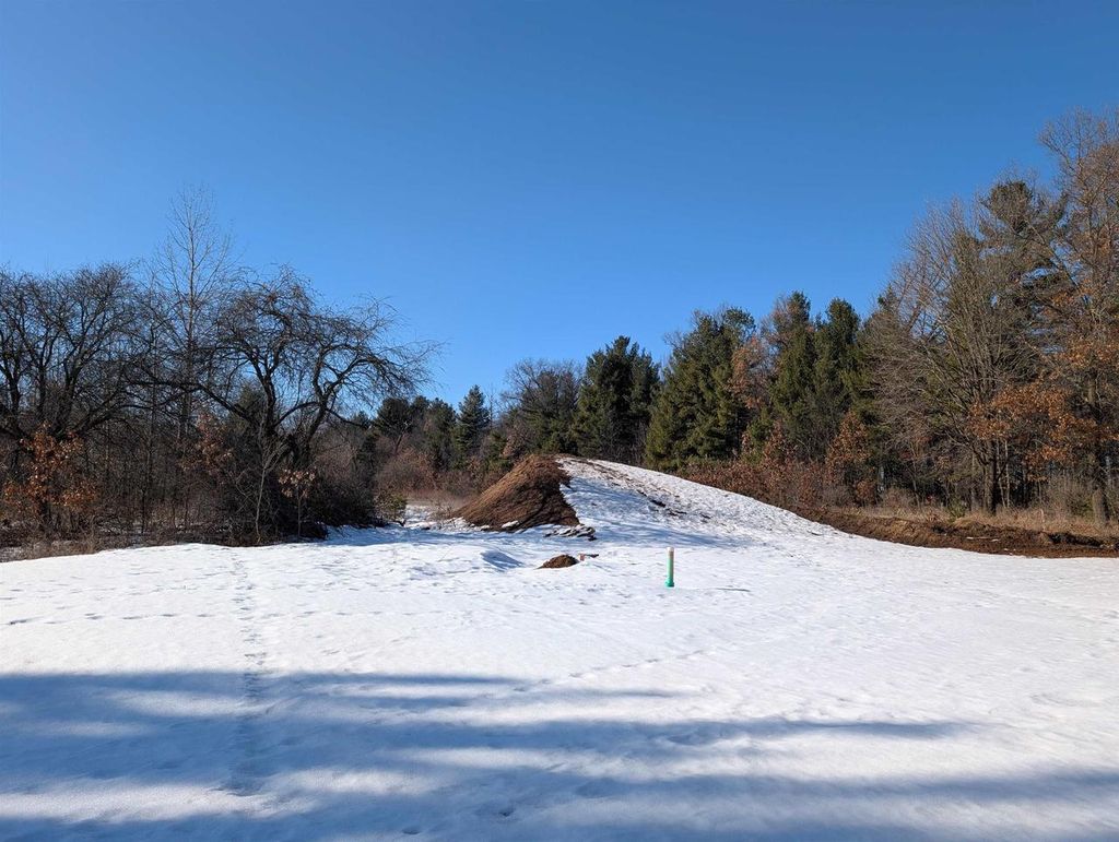 Photo of 3415 Ravenswood WAY #Lot 93, Plover, WI 54467 (MLS # 22600624)