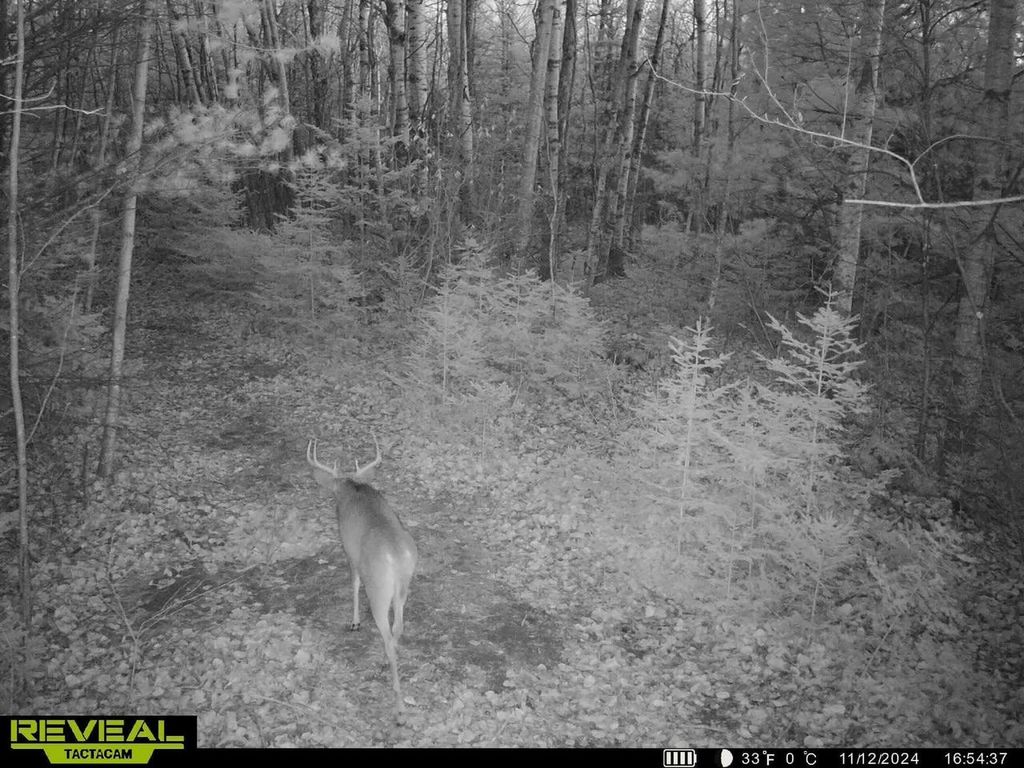 Photo of Right Of Way ROAD, Pembine, WI 54156 (MLS # 50318667)