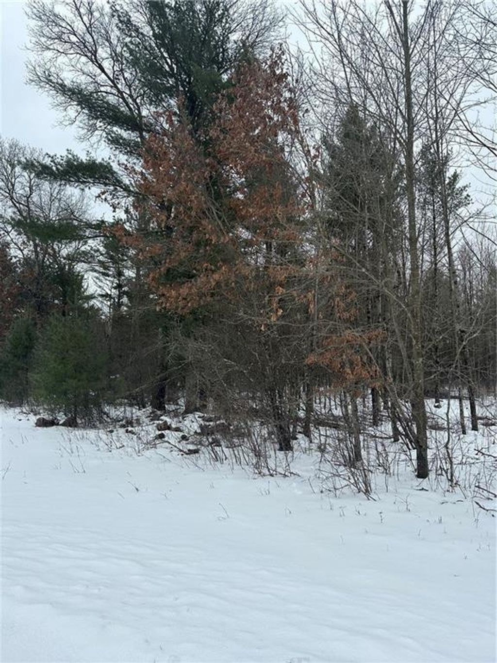 Photo of Lot 20 Betty LANE, Black River Falls, WI 54615 (MLS # 1598190)