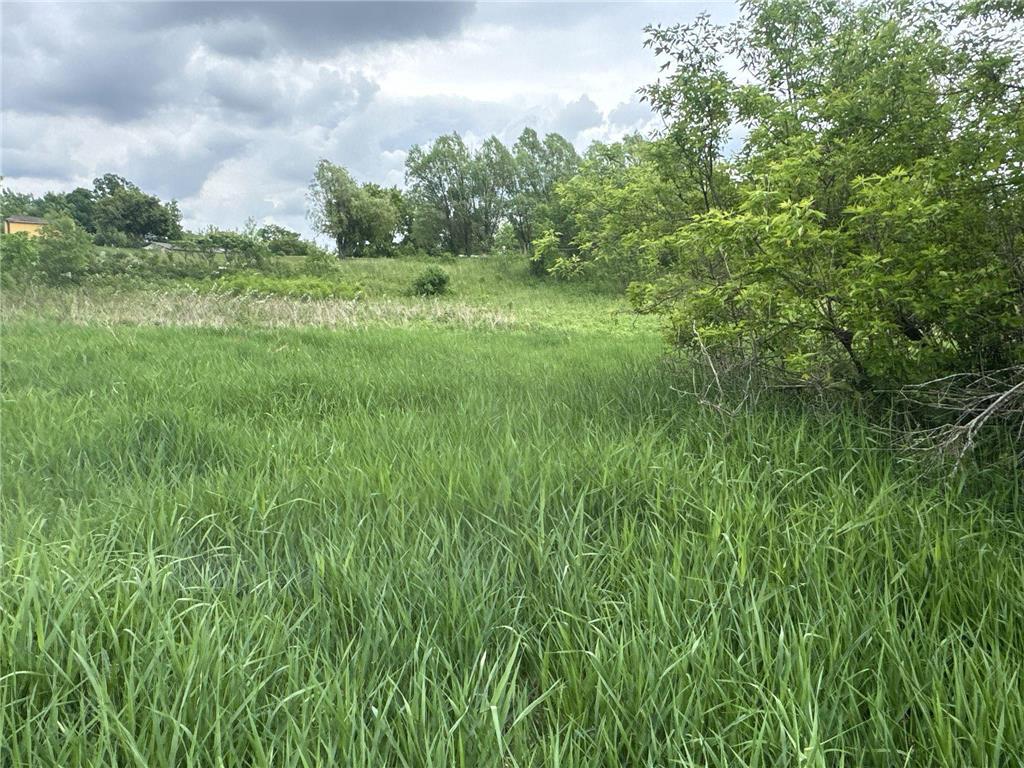 Photo of TBD 10 1/2 AVENUE, Clayton, WI 54004 (MLS # 7089865)