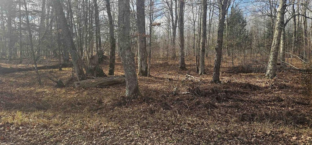Photo of Chip N Dale DRIVE, Pickerel, WI 54465 (MLS # 50327875)