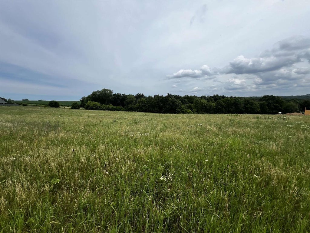 Photo of 5 Ac Cadiz Springs ROAD, Monroe, WI 53566 (MLS # 2027804)