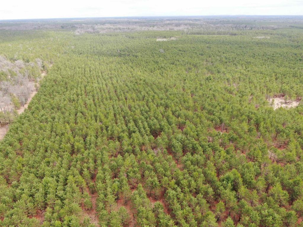 Photo of 80AC 16th AVENUE, Arkdale, WI 54613 (MLS # 2020940)