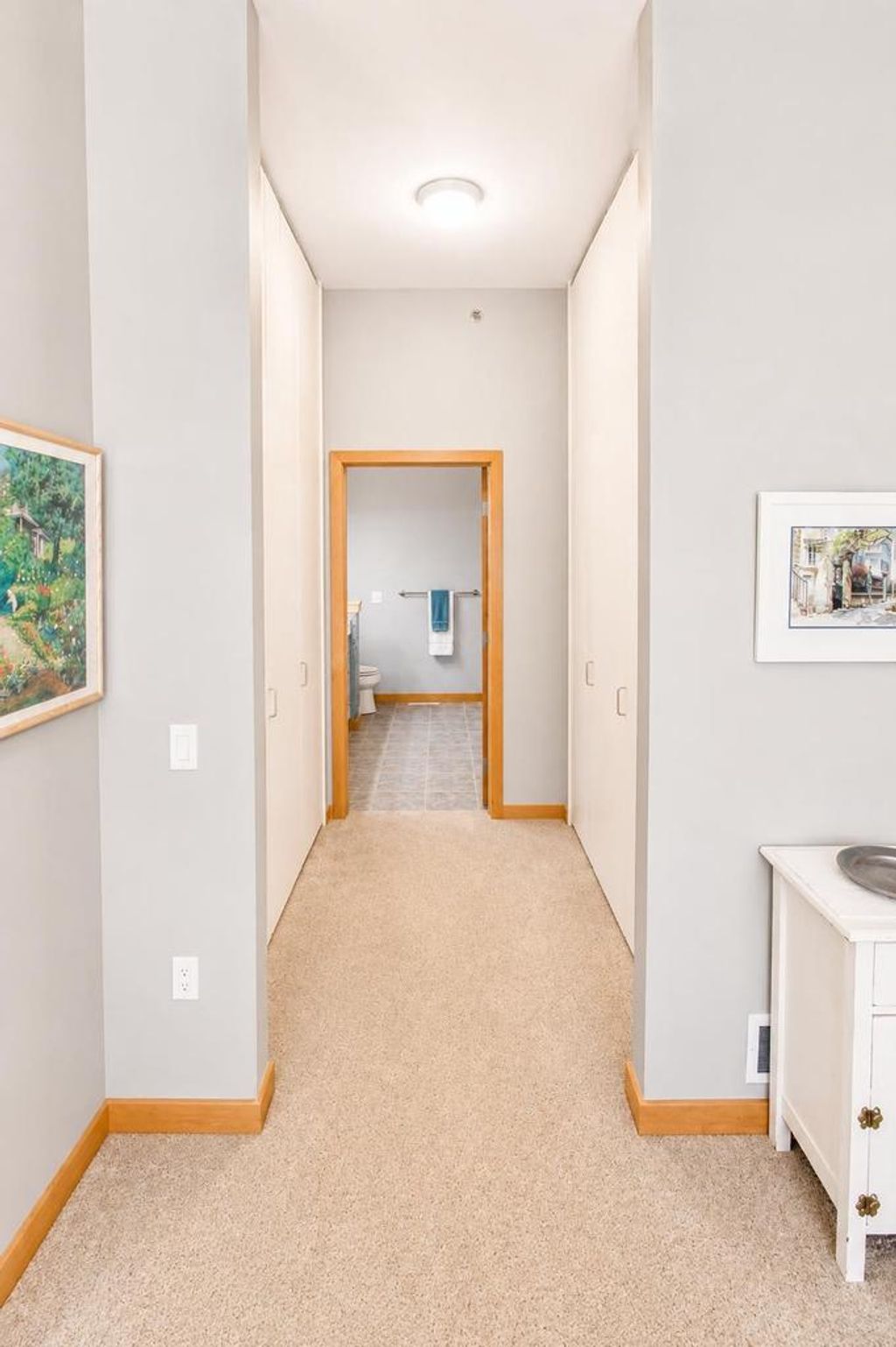 Photo of 533 W. Main S Main STREET #109, Madison, WI 53703 (MLS # 2023473)
