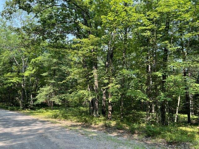 Photo of Steffen LANE, Pembine, WI 54156 (MLS # 50330820)