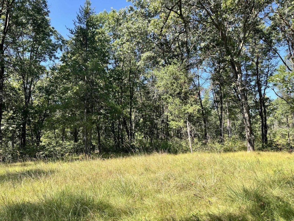 Photo of 1123 15th AVENUE, Arkdale, WI 54613 (MLS # 2031771)