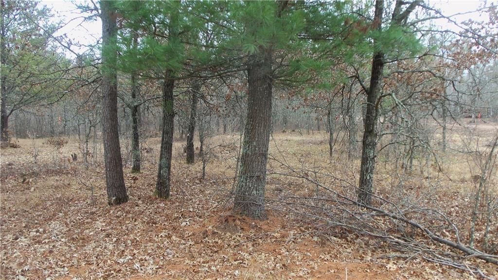 Photo of Lot 8 Canute Creek Trl, Grantsburg, WI 54840 (MLS # 1597826)