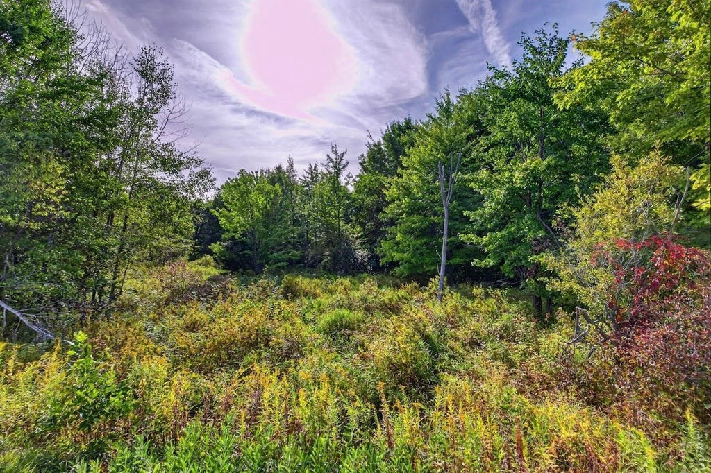 Photo of 18.4 Acres Zubella ROAD, Rudolph, WI 54475 (MLS # 22604629)