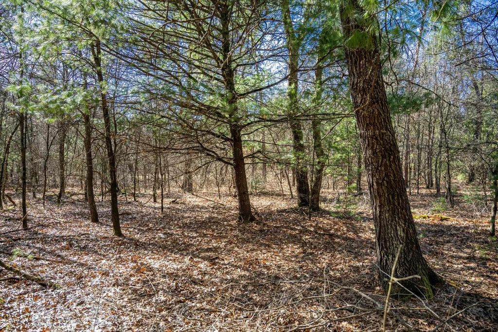 Photo of Lot 4 Morros Mile ROAD, Necedah, WI 54646 (MLS # 2019987)