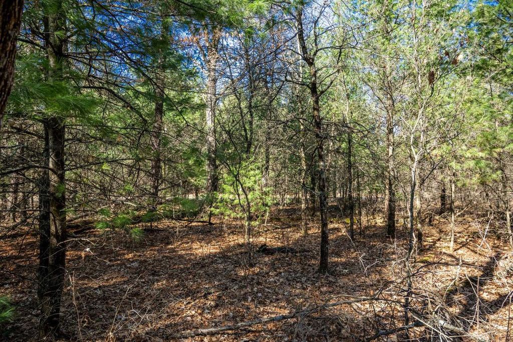 Photo of Lot 4 Morros Mile ROAD, Necedah, WI 54646 (MLS # 2019987)