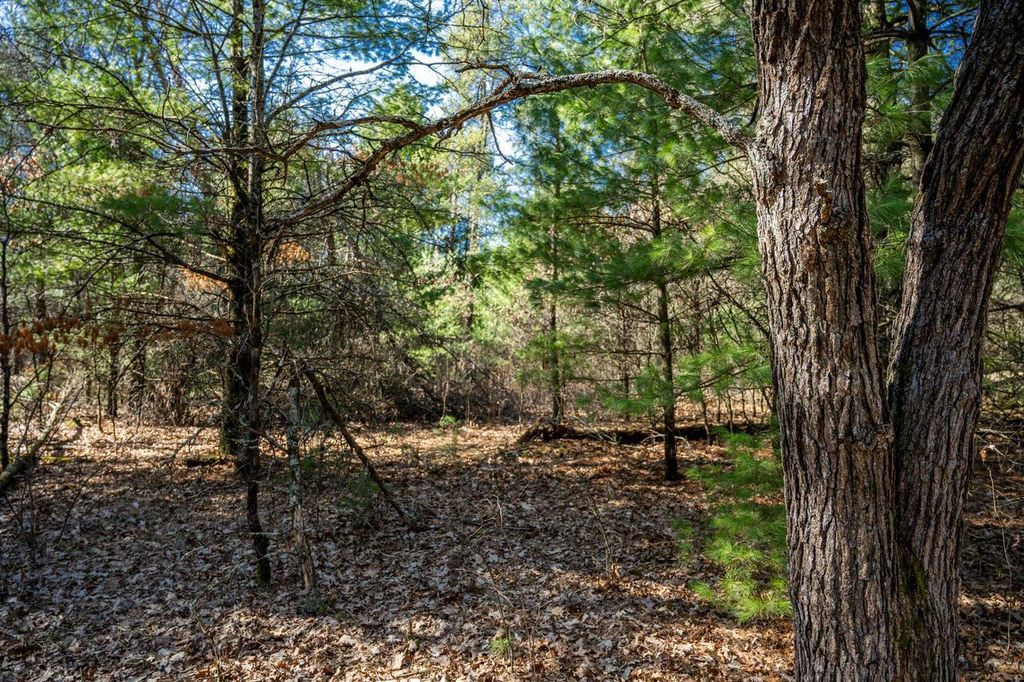 Photo of Lot 4 Morros Mile ROAD, Necedah, WI 54646 (MLS # 2019987)
