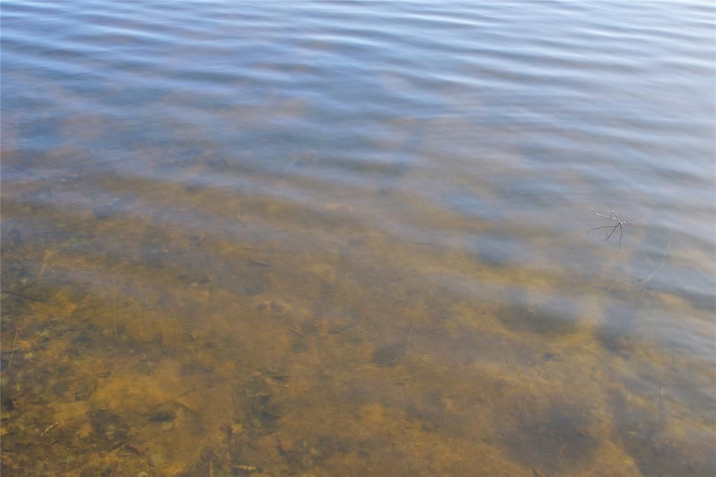 Photo of 0 Ranch ROAD, Stone Lake, WI 54876 (MLS # 1600353)