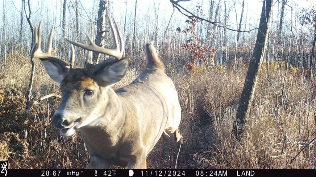 Photo of 1581 50th STREET, Turtle Lake, WI 54889 (MLS # 1597887)