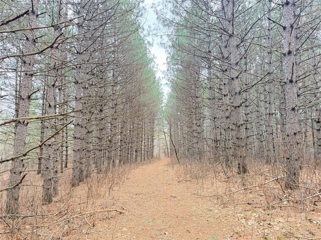 Photo of Lot 5 Big Lake DRIVE, Osceola, WI 54020 (MLS # 1599514)